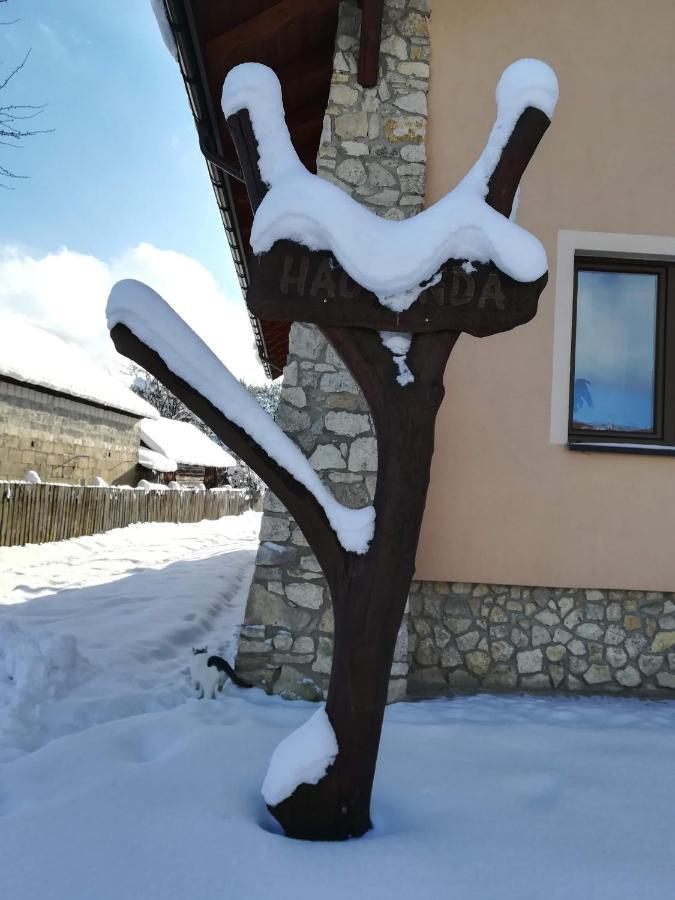 Hacjenda Villa Susiec Bagian luar foto